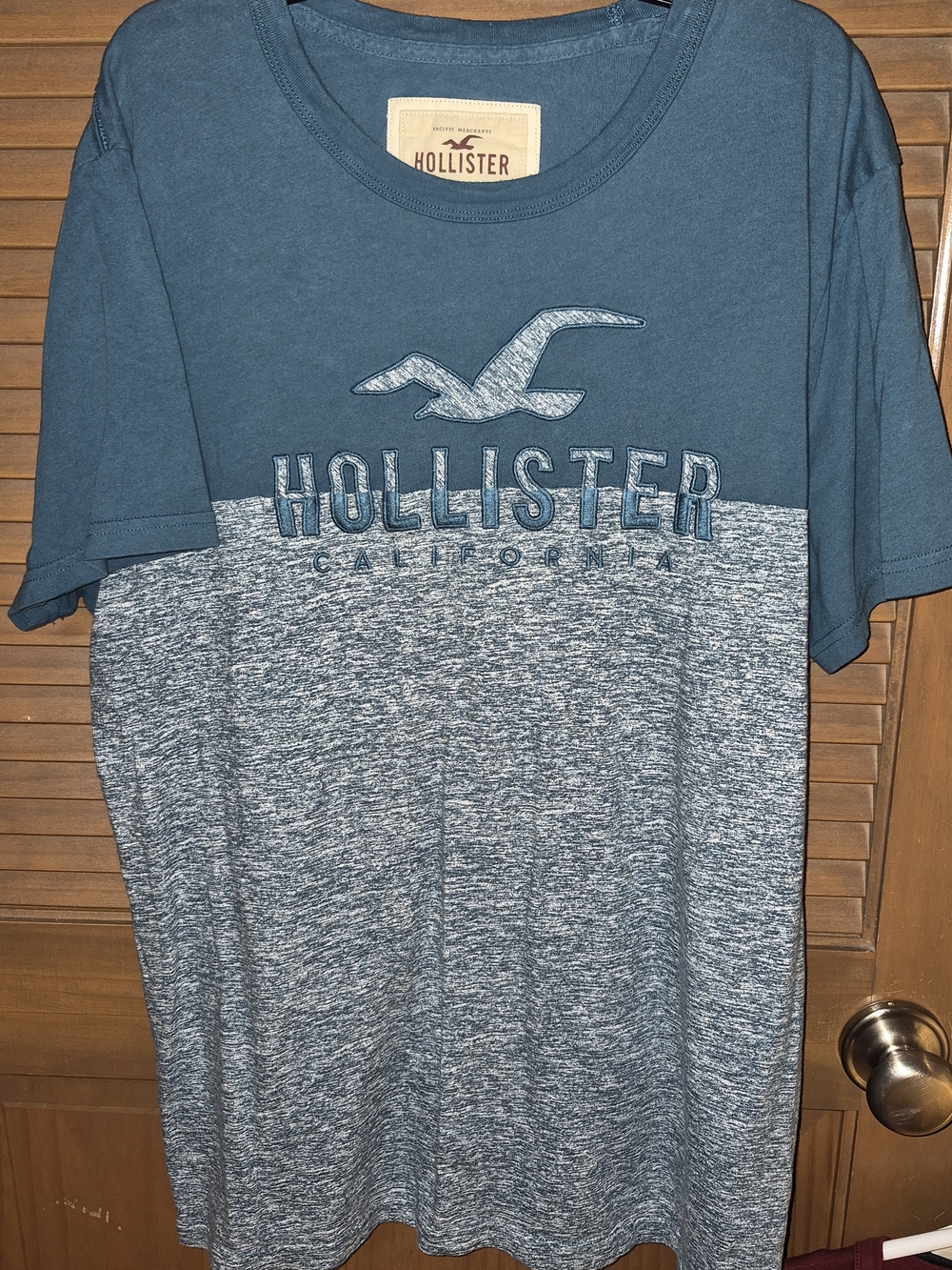 Hollister Teal and Heathered Gray Two-Tone Graphic Tee